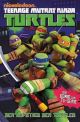 TMNT SC 01 TV-COMIC AUFSTIEG DER