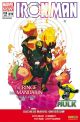 IRON MAN HULK 19 2013