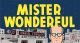 MISTER WONDERFUL HC