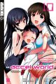 ACCEL WORLD 10 LIGHTNOVEL
