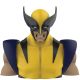 Marvel Kasse Wolverine Kasse