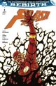 FLASH SC REBIRTH 03 BANN DER FINSTER