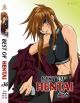 Best Of Hentai DVD 36