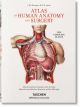 ATLAS OF HUMAN ANATOMY AND SURGERY