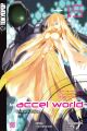 ACCEL WORLD 15 LIGHTNOVEL - ENDE