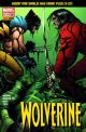 WOLVERINE 26 2004