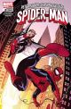 SPIDERMAN SC PETER PARKER 02 HEIM