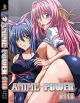 Anime Power DVD 113