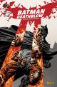 BATMAN SC DEATHBLOW NACH DEM FEUER