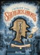 IM KOPF VON SHERLOCK HOLMES HC