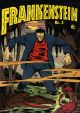 FRANKENSTEIN 03