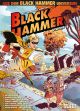 BLACK HAMMER HC VISIONS 01