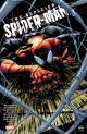 SPIDERMAN TP HC SUPERIOR 2013 01
