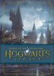 HARRY POTTER HC HOGWARTS LEGACY ART