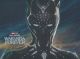 BLACK PANTHER HC ART WAKANDA FOREVER