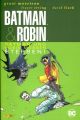 BATMAN SC ROBIN 2009 03