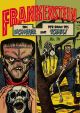 FRANKENSTEIN 14