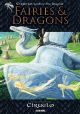 FAIRIES AND DRAGONS HC