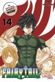 FAIRY TAIL 14 MASSIV XXL BAENDE