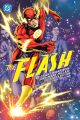 FLASH TP HC BY MORRISON AND MILLAR