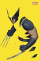 WOLVERINE SC 2024 01 VARIANT LIM 444