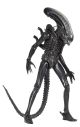 Aliens AF Big Chap-56cm