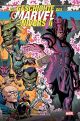 GESCHICHTE DES MARVEL-UNIVERSUMS HC