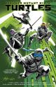 TMNT TP RETURN TO NEW YORK 01