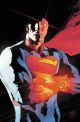 SUPERMAN SC ABSOLUTE 01 VAR-B LIM 333