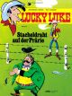 LUCKY LUKE SC34 STACHELDRAHT