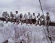 Men On Girder Poster Photo Poster