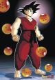 Dragonball Z Poster 7 Balls