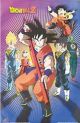 Dragonball Z Poster Gruppe Blauer