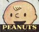 PEANUTS ARTBOOK SC ART OF C. SCHULZ