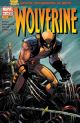 WOLVERINE 15 2004