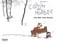 CALVIN UND HOBBES 11 EINE WELT VOLLER