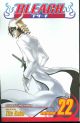BLEACH TP 22
