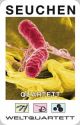 Weltquartett Seuchen Quartett-I