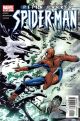 Spiderman: Peter Parker  # 49