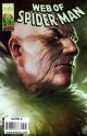 Web of Spiderman 2010  # 5