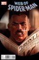 Web of Spiderman 2010  # 9
