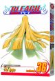 BLEACH TP 36